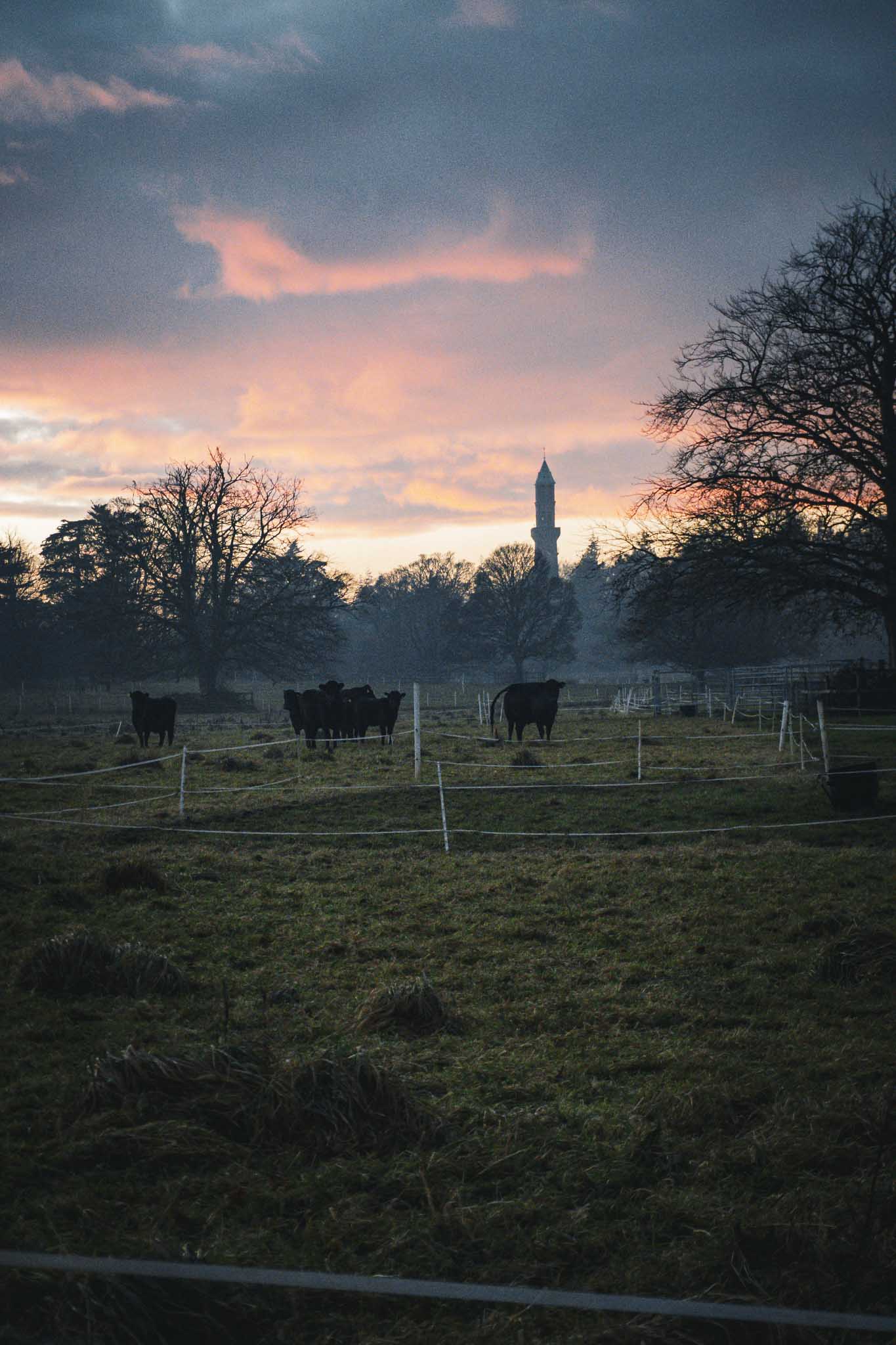 Phoenix Park